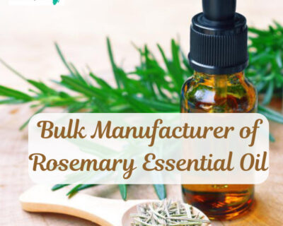 Bulk Manufacturer of Rosemary Essential Oil – Aarnv Global Exports